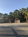 Skateboarding in the Summer Sun