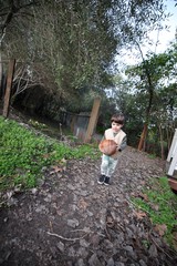 Young Child Carrying Basketball on Garden Path