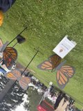 Monarch Moments in Plaza Park