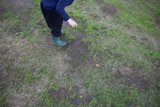 Exploring Nature at Thistlewyck