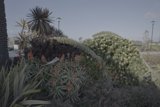 Parking at the Garden Oasis