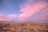 Desert Moonrise