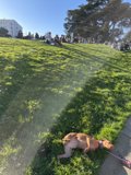 Relaxing with my furry friend