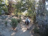 Hiking Adventure in the San Jacinto Wilderness