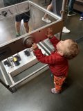 Curious Minds at Play
