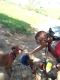 Woman Feeds Two Canine Companions with Blue Container