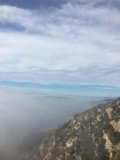 Overlooking the Foggy Ocean