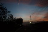 Sunset Flight