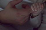 Tiny Grasp, Big Connection