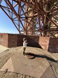 Defying Gravity: A Leap on Fort Point's Brick Wall