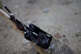 Camera on a Branch