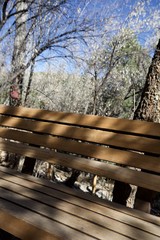 Weathered Park Bench Among Bare Trees in Early Spring