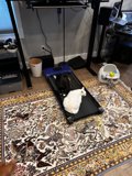 Canine Cardio