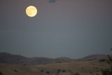 Moonlit Majesty Over Walnut Creek