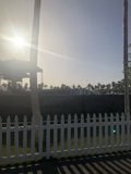 Serenity in the Yard