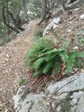 Nature's Pathway