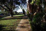 Strolling Through Thistlewyck