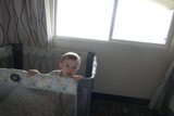 Morning Curiosity