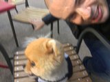 Jiff Profile