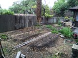 Tranquil Garden Oasis