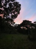 Golden Hour at Carmel Valley