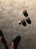 Ballin' Out
