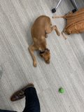 Relaxing Day
