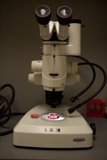Microscopic View