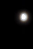 Lunar Glow