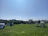 Relaxing in the Park