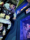 Exploring the Deep