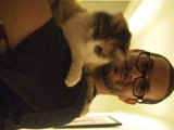 Feline Companion