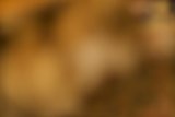 Blurred Figure in the Wild