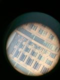 Magnified Window View