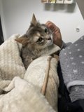 Cozy cuddles with my furry friend