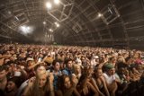 Coachella's Electric Crowd