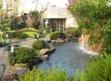 Serene Pond with a Cascading Waterfall in a Natural Garden
