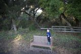 Forest Adventures at Thistlewyck