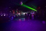 Nightlife in the Urban Jungle