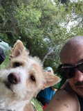 Man and his Canine Companion