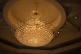 Illuminating Elegance