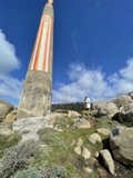 Towering Presence