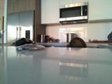 A Modern Kitchen Setup