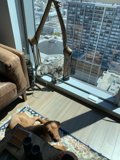 Relaxing in the Sun