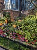 Harvest Season at Michael Berryman's Garden