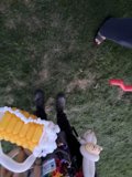 Whimsical Moments on a Grassy Canvas