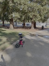 Young Child Learning to Ride Balance Bike