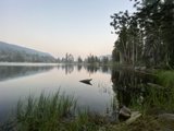 Serenity in the Wild