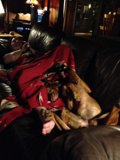 Cozying Up on the Couch