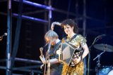 Golden Accordion Performance